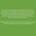Biotique Bio Green Apple Fresh Daily Purifying Shampoo & Conditioner for Oily Scalp & Hair, 180 ml, multi Biotique