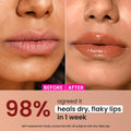 Dot & Key Ceramide & Peptide Barrier Repair Lip Balm Spf 50, Pa+++|Warm Nude, Normal Skin Type|Uva/Uvb Lip Protection|Soft Tinted Lip Moisturizer|Boosts Collagen & Instantly Plumps Lip 10Gm DOT & KEY