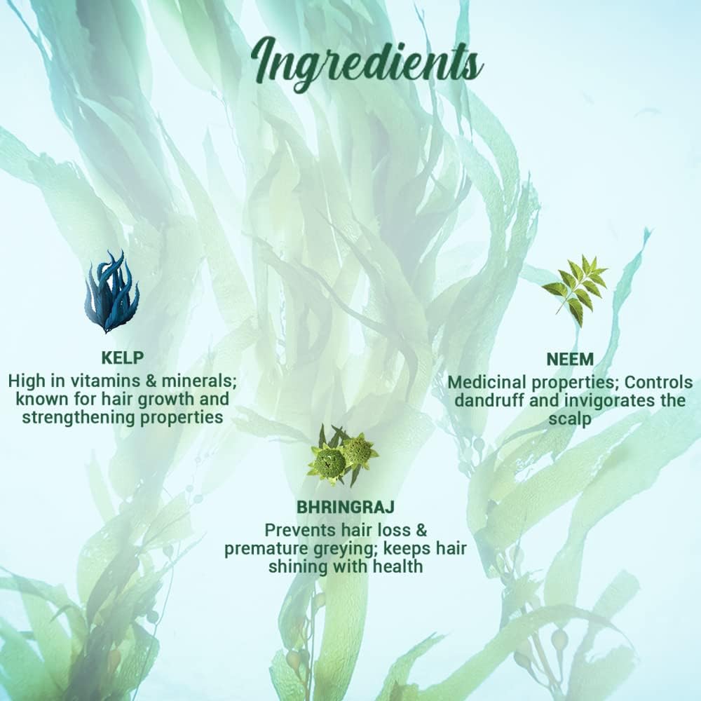 Biotique Bio Kelp Protein Shampoo for Falling Hair Intensive Regrowth Treatment, 340ml, multi Biotique
