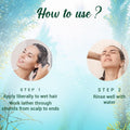 Biotique Bio Kelp Protein Shampoo for Falling Hair Intensive Regrowth Treatment, 340ml, multi Biotique