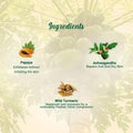 Biotique PAPAYA FACE WASH WITH PLANT DERIVED COLLAGEN Deep Cleanse For Glowing Skin All Skin Types-150ml Biotique