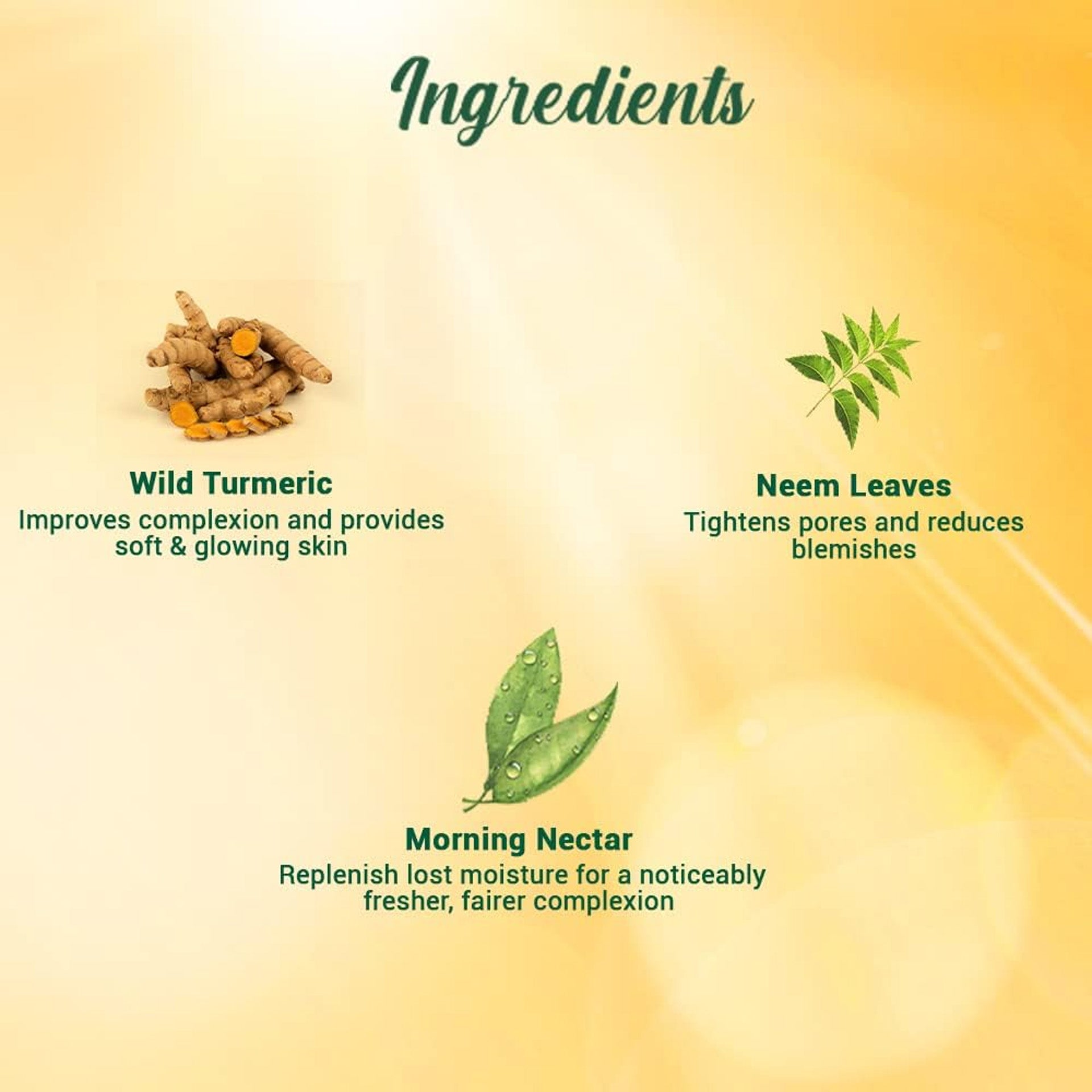 Biotique Bio Morning Nectar Sunscreen Ultra Soothing Face Lotion, Spf 30+, 120ML Visit the Biotique Store Biotique