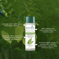 Biotique Morning Nectar Lightening and Nourishing Lotion for All Skin Types, 120 ml (Pack of 1) Biotique